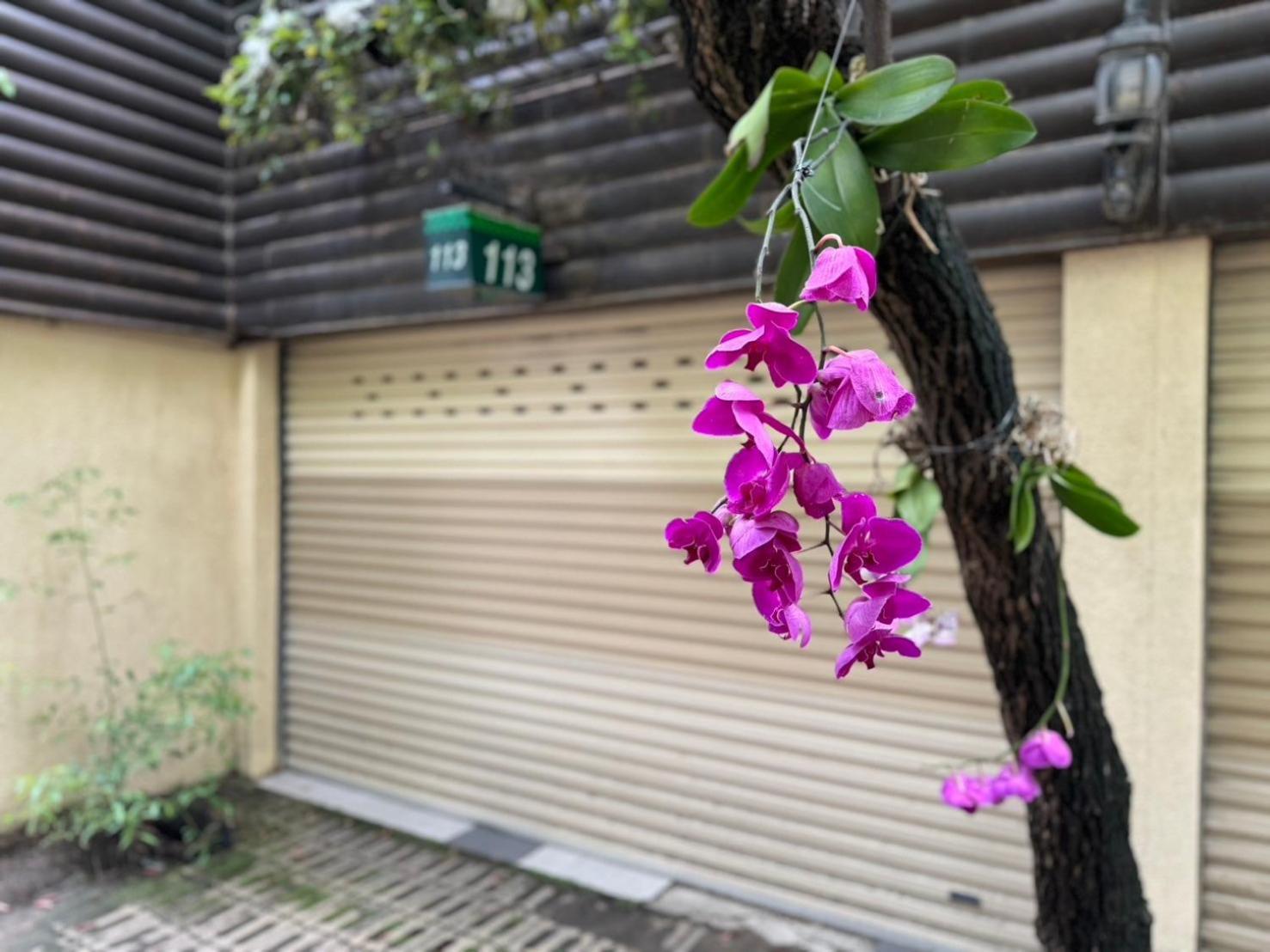 Ivy Motel Chiayi City Exterior photo