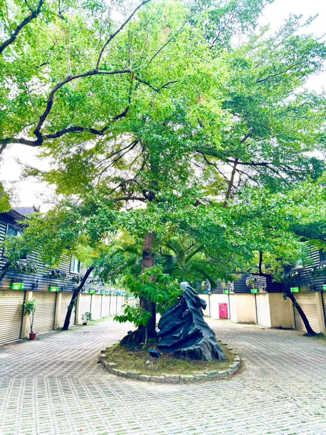 Ivy Motel Chiayi City Exterior photo